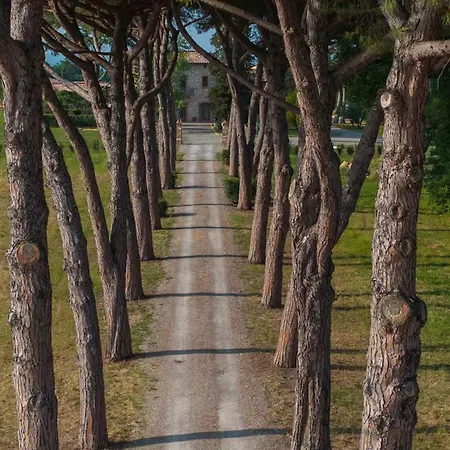 Arnolfo * 埃尔萨谷口村