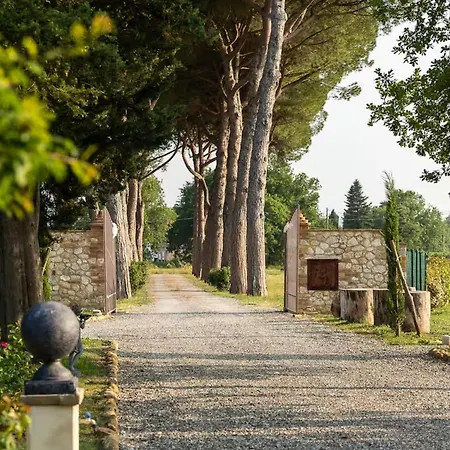 Arnolfo Colle Val D'Elsa